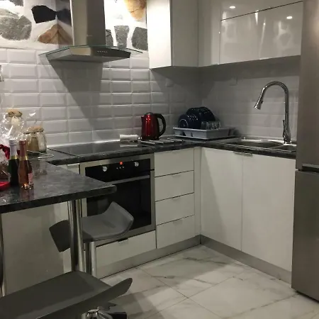 公寓 Modern Salon 塞萨洛尼基